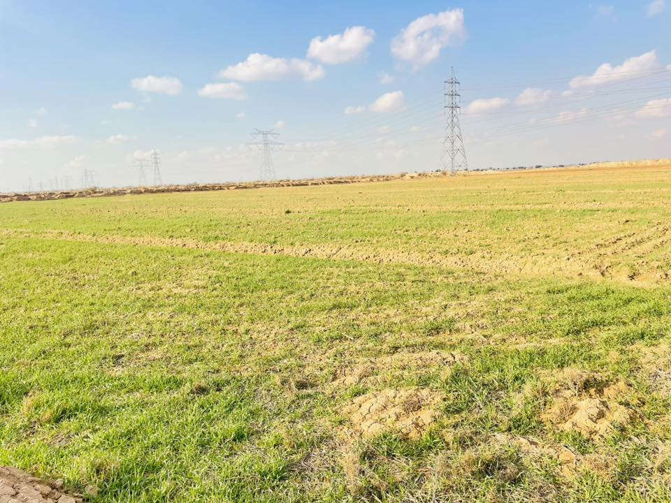 سلام عليكم قطعه ارض للبيع مساحة 30دونم 
مزروعه حنطه مثل ماموضح بل صوره 
مكان بغداد النهروان  سعر خاص 

رقم الهاتف ‭0780 898 2817‬
