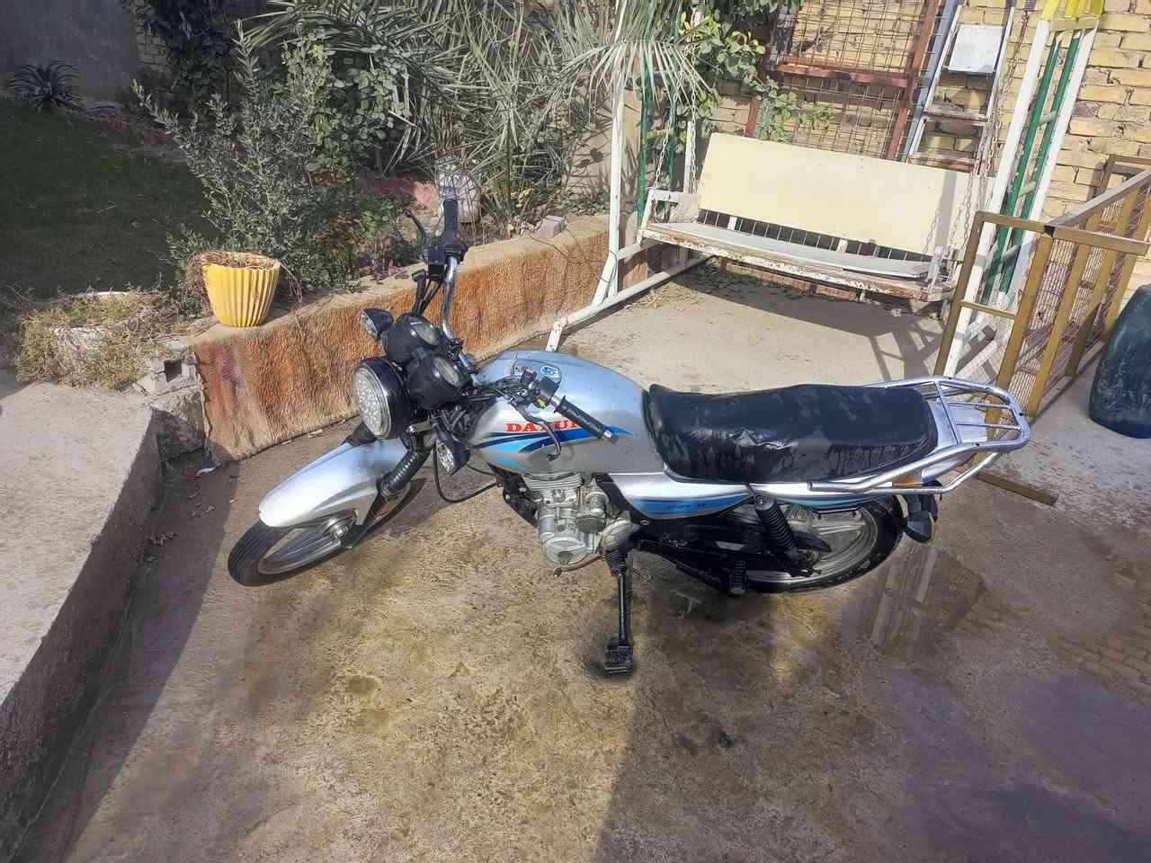 للبيع دايون عظم أوراق ***********
