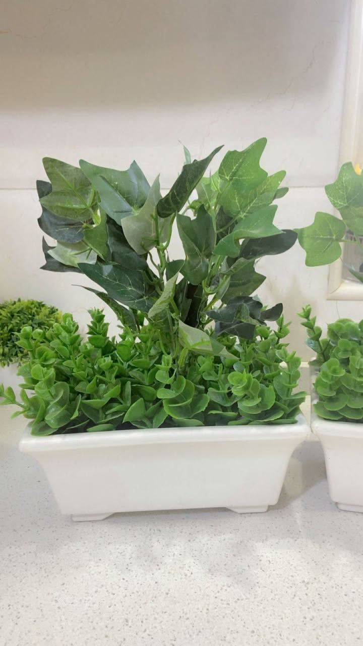 متوفر زرع صناعي اصلي درجه اولى وزن ثقيل
بايركسات حراري أحجام واسعار مختلفه
متوفر توصيل جميع المحافظات 3


**إذا كنت صاحب هذا الإعلان وتريد حذفه لأي سبب، رجاءا أرسل رسالة إلى الدعم الفني**