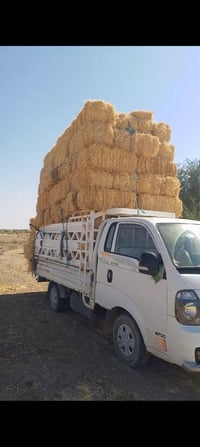 تبن كبس سويتر نضيف درجا اولا واصل للبيت  07805879968///07780640958