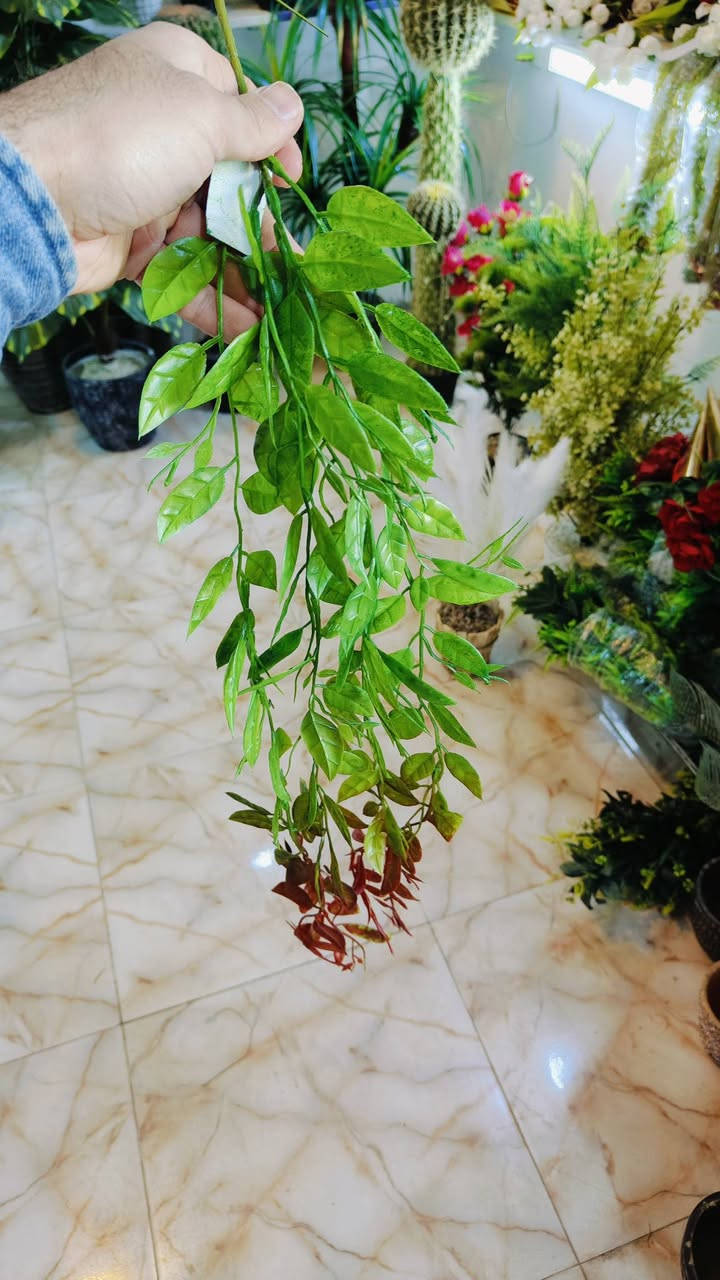 .اشكال وموديلات مختلفه من الأشجار الصناعيه🌳 ترضي جميع الأذواق🌴مقاسات مختله...
عنوان المحل #واسط قضاء #النعمانيه 
 الشيشان الجديد الشارع الرابع
    محل الغيث للتسويق المنزلي


**إذا كنت صاحب هذا الإعلان وتريد حذفه لأي سبب، رجاءا أرسل رسالة إلى الدعم الفني**