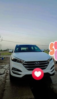 توسان خليجي 18 مكفوله كفاله عامه لا ضبغ  ولا بادر ولا طخه ولا ضربه  مك...