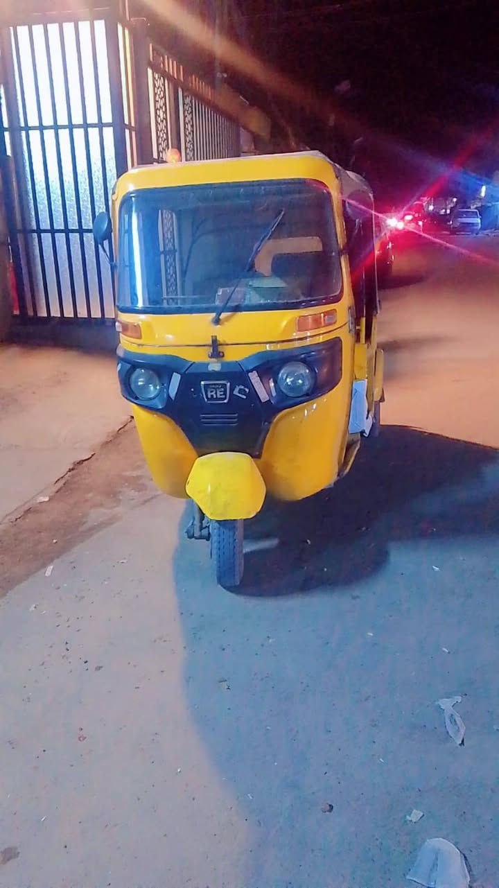 سلام عليكم عندي هاي تكتك للبيع موديل 2019اوراق المصطفئ اصوليه السعر 4ونص وبيهه مجال مكان بغداد شرطه الخامسه  رقمي ***********بي( واتساب فقط) .
