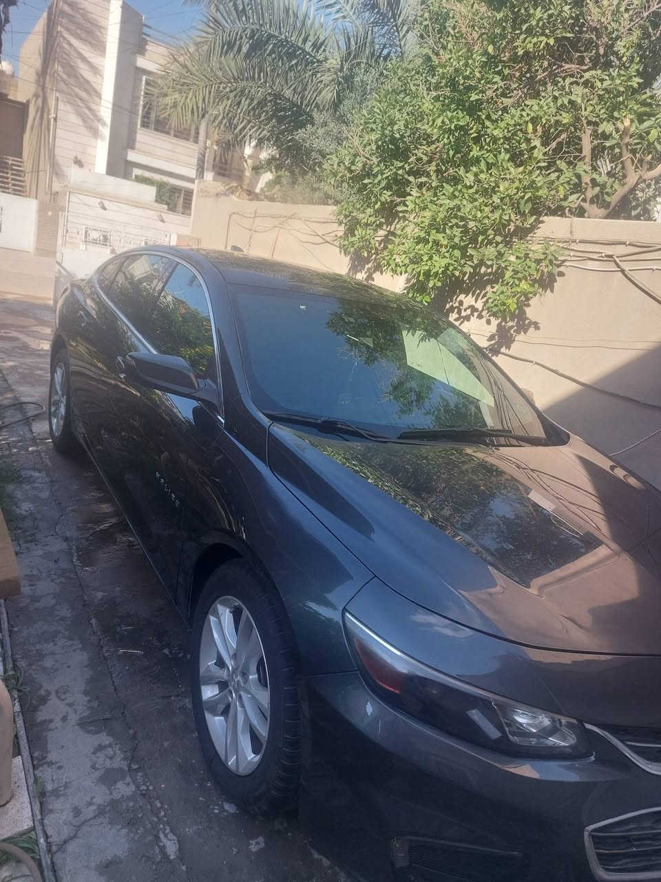٢٠١٨  Lt  ١٥٠٠ تيربو بيها ٦بصمات تحكم ستيرن اوتوستوپ تبديل جاملغ السايق وراجز الحار  السعر ٨٥$  مكاني بغداد شارع فلسطين ... غزاليه


**إذا كنت صاحب هذا الإعلان وتريد حذفه لأي سبب، رجاءا أرسل رسالة إلى الدعم الفني**