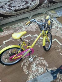 بايسكل ياباني • سكوتر شحن • كربلاء