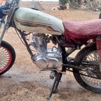 دراجة • اوراق • مو باسم