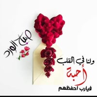 باجر الضهر • رايح كربلاء • ناصریه مركز