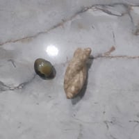 حجار • ديكور