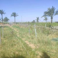 بغداد المدائن • ١٠٠٠م • واجهة ١٥م