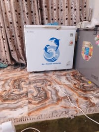 مجمدة • تجميد ممتاز • ما بيها خلل