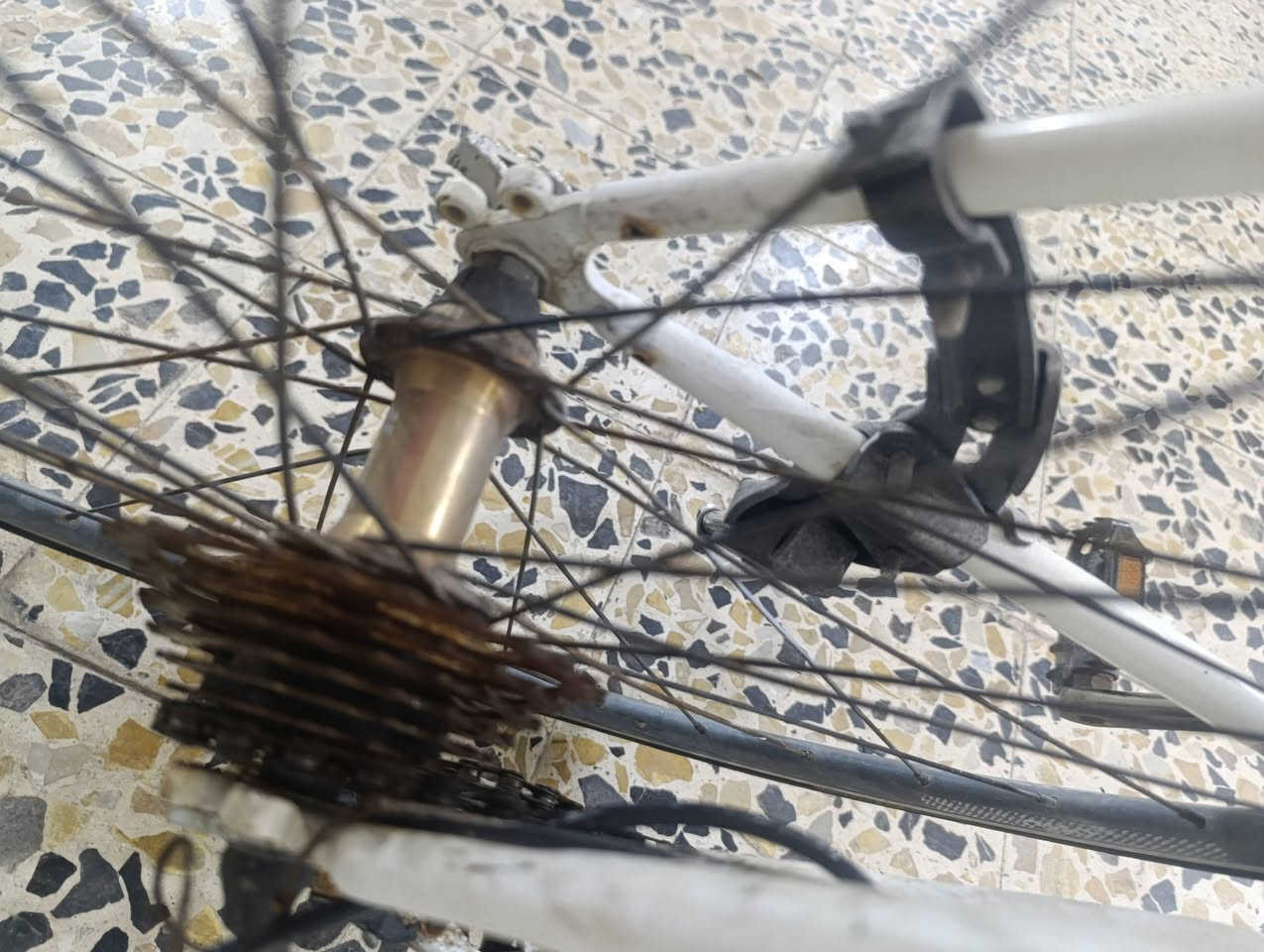 للبيع دراجة OSSO تركية أصلية 🚲🔥
دراجة طريق (Road Bike) خفيفة وسريعة، مناسبة للتمشية والرياضة والاستخدام اليومي.
✅ هيكل OSSO تركي
✅ إطارات طريق نحيفة للسرعة
✅ فرامل أمامي وخلفي
✅ حالة الدراجة جيدة وتشتغل بدون مشاكل
✅ جاهزة للاستخدام

علق وادخلك خاص سعر فقط ١٠٠ بدون عمله


**إذا كنت صاحب هذا الإعلان وتريد حذفه لأي سبب، رجاءا أرسل رسالة إلى الدعم الفني**