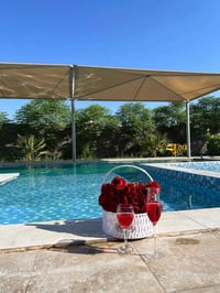 مزرعة زهرة الشمس • حجوزات العيد • مسبح كبير