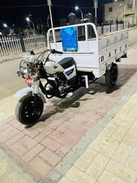 ستوته دايون • موديل 2020 • اوراق اصولي