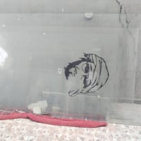 زجاج أبواب • محلات سمك • 1سم تركي