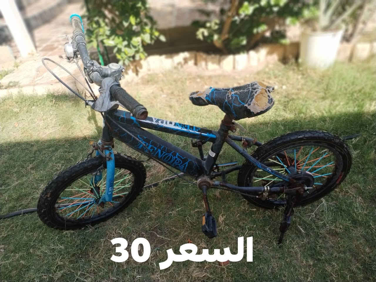 سلام عليكم
باسكلات للبيع 
التصال على الرقم ***********
