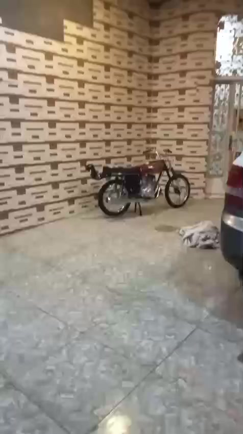 سلامو عليكم داجه انتنس للبيع كفاله عامه بعدهي ما ساحكه اول تبديلت دهن بيه دراجه اوراق سكنر اكفلك سرقه دراجه جديده مديل 2026 درجه بعدهي بترابه جديده زلغ ما بيه     سعر 750 وبيه مجال  لعنوان بصره جزيره ريان هذ رقمي شني عندك ستفسار راسلني ونا بخدمتكم ***********
