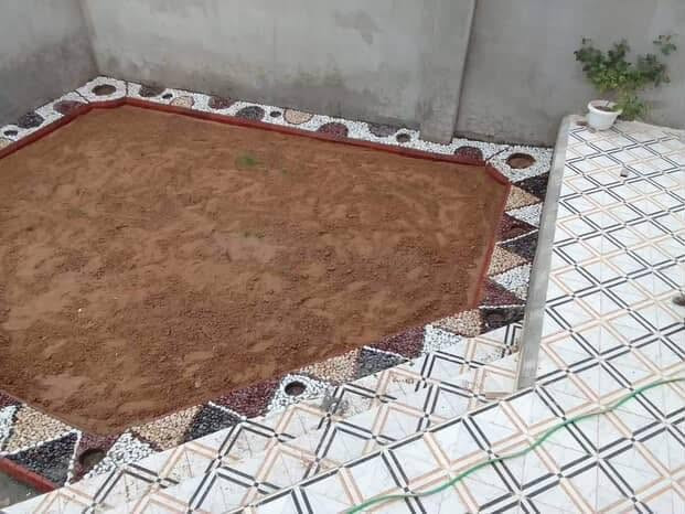 السلام عليكم يوجد كادر ديكورات حدائق وبسعار مناسبه الاتصال***********
