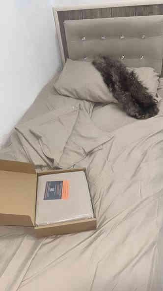 #للبيع_جملة بكج كامل طقم شرشف سرير الكارتون يحتوي (عدد 9  بكجات ) السعر كارتون كامل 80 الف  وبي مجال وتوصيل جميع محافظات 
#للحجزوالاستفسار_واتساب_*********** 

طقم مكون من 3 قطع بمقاس كامل/كوين باللون البيج يتضمن (1) غطاء لحاف  فندقي طباقات كبس مقاسcm 220 × 155 و(2) غطاء وسادة مقاس80 ×80cm
مصنوعة من ألياف البوليستر الدقيقة فائقة النعومة؛ قوية وخفيفة الوزن؛ 100% بوليستر
