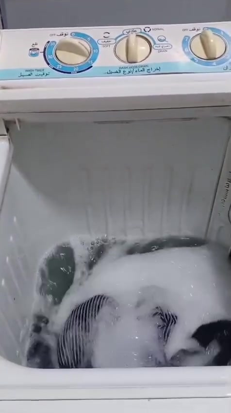 غسالة هيتاشي ياباني الأصلية حجم ٨ كيلوا تشتغل غسيل ملابس ونشاف نظيفه سعرها ٨٥ ألف مكاني بغداد بالامين الثانيه واكو توصيل وعالفحص


**إذا كنت صاحب هذا الإعلان وتريد حذفه لأي سبب، رجاءا أرسل رسالة إلى الدعم الفني**