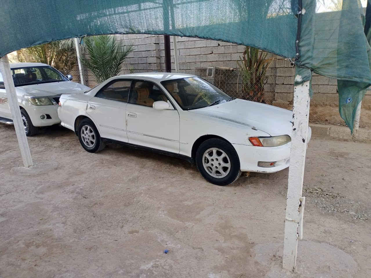 سبب الوعود الكاذبه عدت النشر سياره للبيع مارك نفخ مويل 95 سياره بسمي سنويه ل 29 تنتهي  مشروع وطني تريد وكاله تريد تحويل فقط
سبب الوعود الكاذبه عدت النشر سياره للبيع مارك نفخ مويل 95 سياره بسمي سنويه ل 29 تنتهي  مشروع وطني  تحويل فقط ثاني يوم 
سياره نضيفه لاقلب ولادعم ولاصبغ
بيها طخات خفيفه  وسهله 
المكان ديالي ناحية السعدية 
الاستفسار يتصل على الرقم ***********
