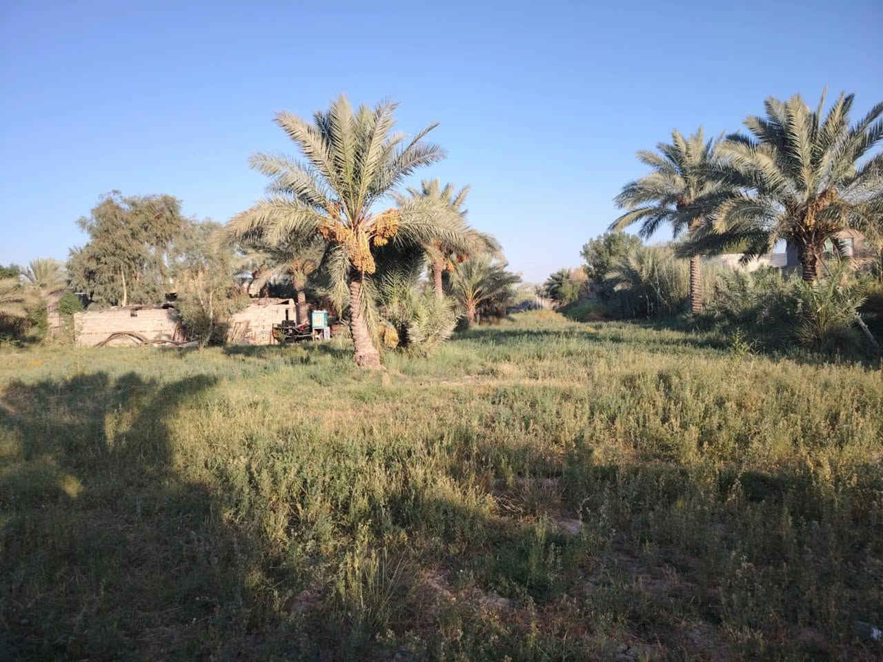 سلام عليكم من رخصت ابو الكروب مزرعة اللبيع طابو بستنة مساحة ٣٠٠٠م مع بيت يتكون من ٤غرف نوم وصالة واستقبال ١٥م ومطبخ وصحيات داخلية وخارجية خدمات كاملة كهرباء وماء اسألة وماء سقي العنوان طريق السنية جهة زوار مقابل جامعة جديده تبعد عن شارع العام ١٥٠م الاتصال على الرقم ***********
