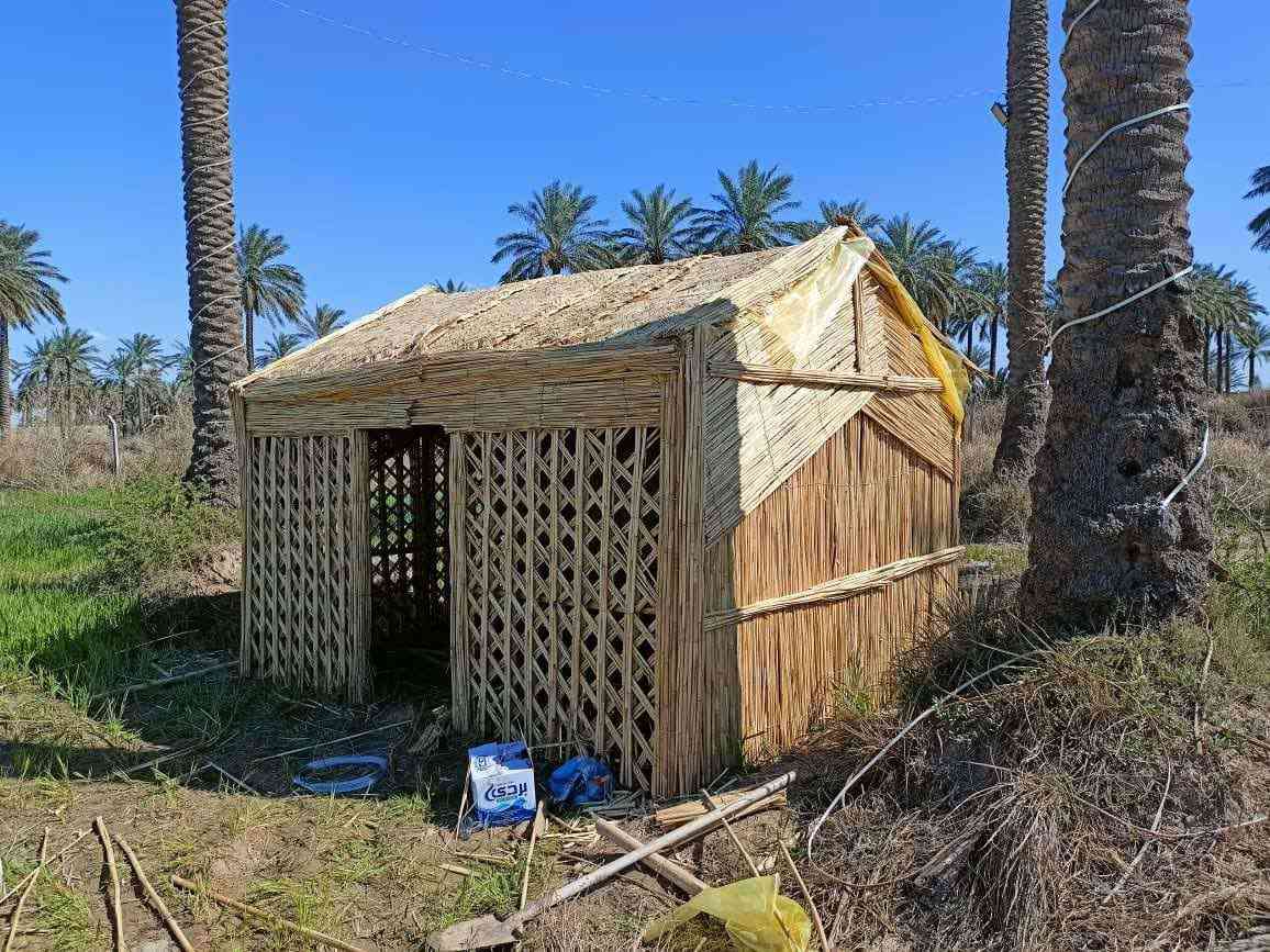 #قصب#خيزران مستورد كوخ. الخشب القوق حصران باريات گصب ***********#
