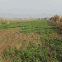 نزلة البو ناهض • ٧٫٥ دونم • سند ٢٥ مداور