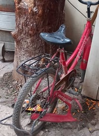 بسكليت • للبيع