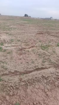 النهروان • ١٠دوانم • خدمات كاملة