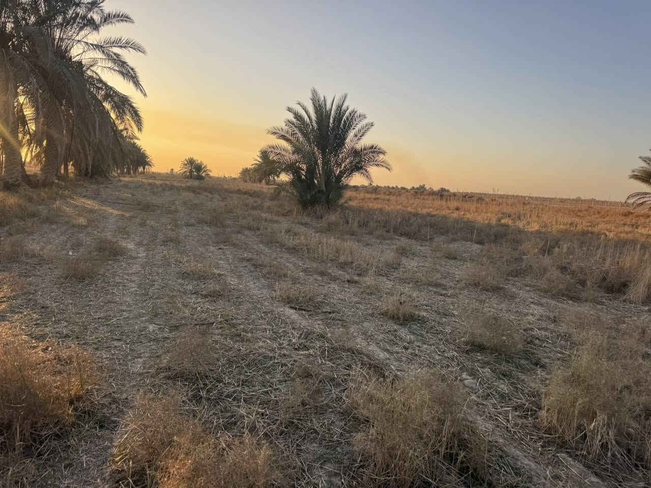 سلام عليكم ارض طابو للبيع المساحه 30 دونم سند مستقل بأسم شخص واحد الارض مكانه حلوه يوجد فيه كهرباء+ماء وكافّة الخدمات تصلح مجمع سكني او شاليات العنوان طريق كربله نجف طريق مفرك الكفل عمود 350 
استفسار.   ‭***********
