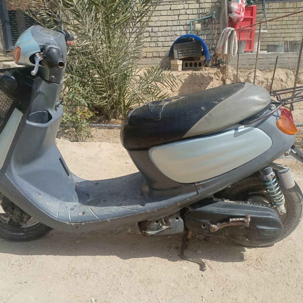 منغولي للبيع 
السعر 350 وبي مجال
للستفسار ‏‪***********‬‏ كربلاء, العراق
