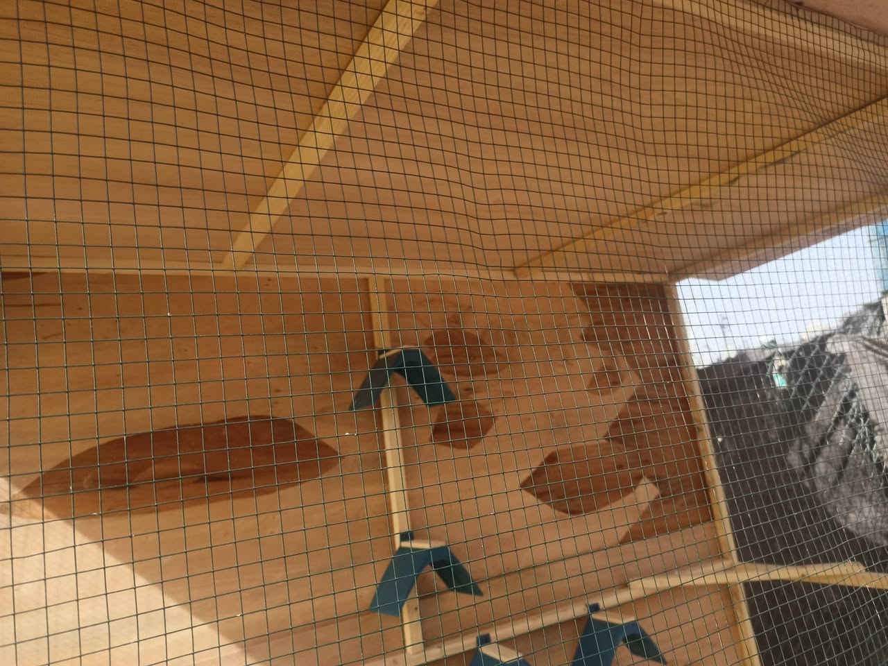 اللهم صلي على محمد وال محمد
قفص ارتفاع مترتين طول مترتين عرضه متر مكاني سوق الشيوخ يم مدرست شريف الرضي مقابل الغسل لاصفر 
سعر 75


**إذا كنت صاحب هذا الإعلان وتريد حذفه لأي سبب، رجاءا أرسل رسالة إلى الدعم الفني**