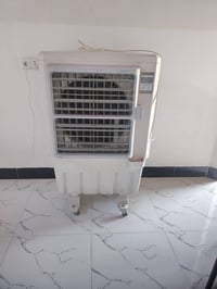 شغالة • ما بيها عيب • عروبه يم جسر الرابع