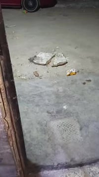 بيت مساحته70متربم الكبروالغزلان حواسم مقابيل قطاع 20‏(خامس باب عل شارع...