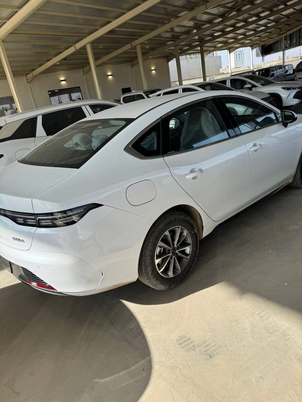 عروض اليوم على جميع انواع byd مباشر من الصين 🇨🇳 الى العراق من قلب مخازننا
البيع جمله ومفرد 
الاسعار تنافسيه اتصل وتدلل انسب الاسعار على السعر القديم 

🔴بي واي دي دسترويرBYD موديل 2025 نار 🔥 
🔴بي واي دي كن بلاص BYD موديل 2025 🔥 
🔴بي واي دي سيل BYD موديل 2025 🔥
بي واي دي 2025 سونك L فول الفول
بي واي دي 2025 سونك بلاص فول الفول 
الاسعار جدا مناسبه
جميع انواع السيارات تحتوي على كافة ملحقاتها كاعيات اصليه وكارت وشاحن اصلي 
        زورونا واهلا وسهلا بكم
يتوفر كافة انواع byd😍
               
للاستفساراكثر اتصل على الأرقام التالية
🥰🥰🥰🥰☎️☎️☎️☎️
***********  ابو زياد
***********   عمر
📍الموقع بغداد اليوسفية الطريق السريع الدولي
(((شركة ديار الكرم)) maps/waze 📍#BYD #bydبغداد #العراقيين
#BYDIraq
#متابعة
#BYD#. #بغداد
