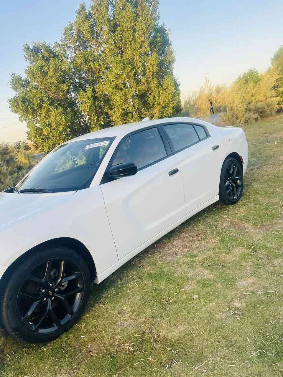 السلام عليكم
جارجر موديل 2023  اصل ماشيه 50 mi  وارد امريكي sxT لوّن ابيض كفاله عامه من الصبغ والحادث كير محرك شرط الفحص  تايرات لوك  حداديه امامي خلفي لوك رقم بغداد نكليزي   بسمي تريد وكاله مداور مواصفات كتاب الفحص موجود بالمنشور 

شاشه كبيره  

كشنات كهرباء 

كاميرا خلفيه 

بلوتوث اوكس وفلاش

تبريد قطعتين

تحكمات ستيرن

تشغيل عن بعد

بصمات ابواب وصندوق

كتلوك الشركه

هواي بي مواصفات مذاكرهن

ويل كب 20

لايت زنون

محرك 3600

ستخدام شخصي تكسي 

ابد مامشتغله  والله مكان سياره

شطره قضاء النصر

تصل وبالخدمه

*********** 

***********
