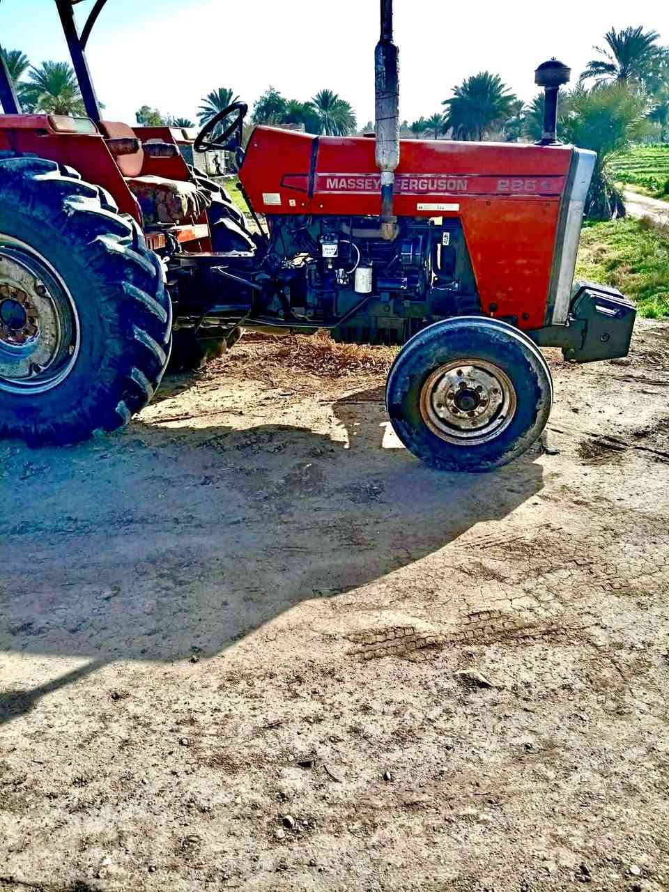 بسم الله الرحمن الرحيم
السلام عليكم ورحمة الله وبركاته
مكينه تركيه موديل 2000 جاهزه لعمل تخم تايركهرابيات كله شغاله مكينه خير من الله مكاني بغداد اليوسفيه الهاتف ***********_***********
