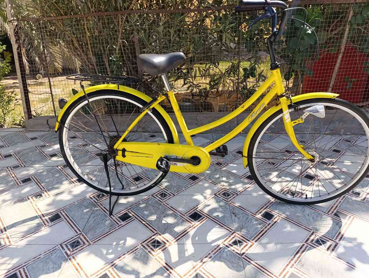 السلام عليكم 
بسكل مال حاويه نضيف وكامل مكاني بصره ابو الخصيب بالعوجه الشراي يخابرني وبخدمته
*********** ابو الخصيب, البصرة
