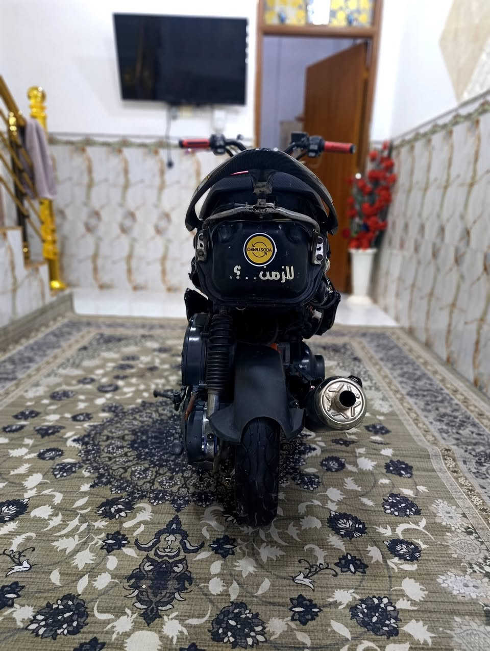 درجه للبيع
بوشه 55 نضافه 100/100
درجه معايزه شي نكره سلف كفرات كامله سعر 550 وبيها مجال رقمي ***********
