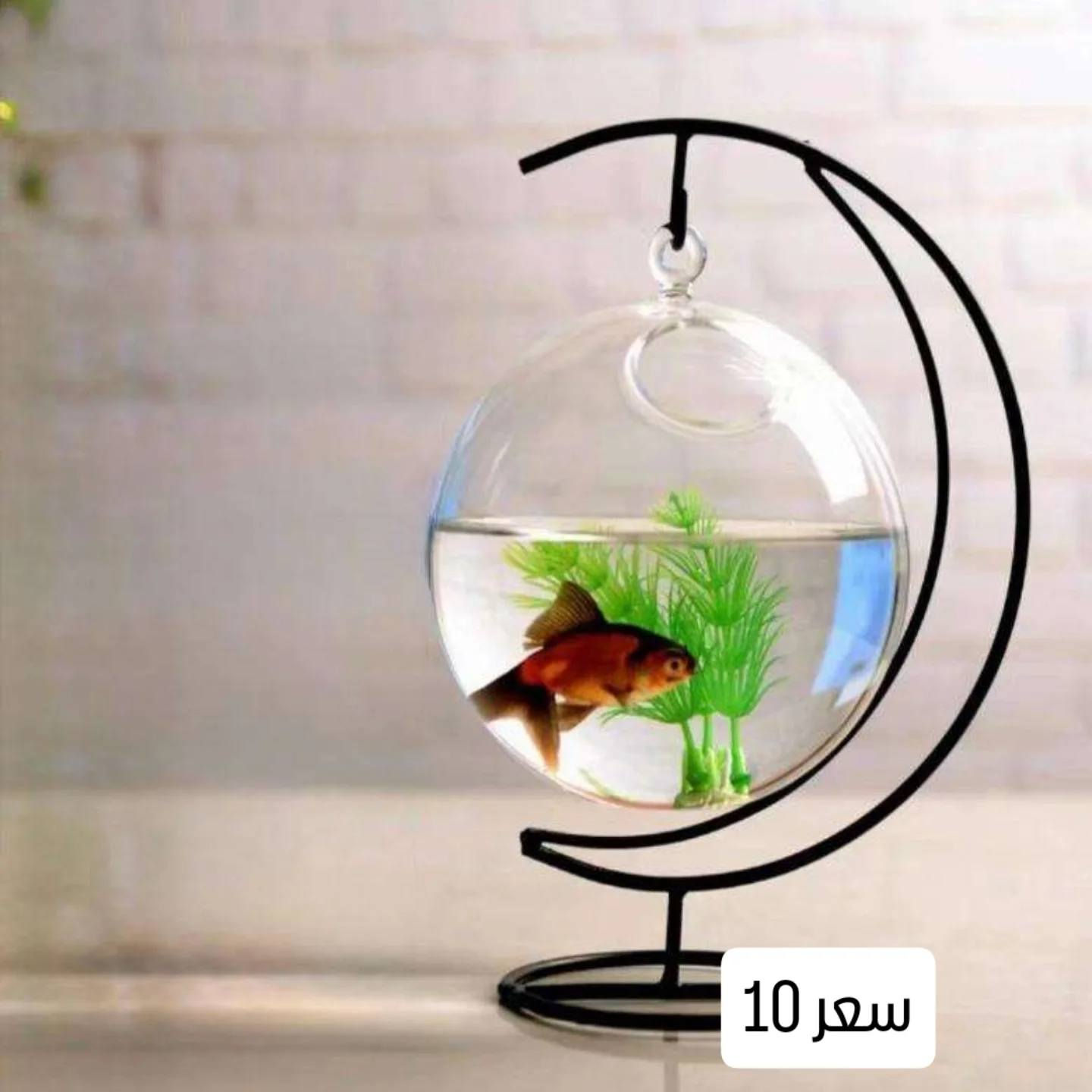 مرحبا 
توفر سمك فايتر 
ودوارق بكل انواعها
يتوفر توصيل 
الحجز والاستفسار مراسلة ع الخاص 🌾🌾


**إذا كنت صاحب هذا الإعلان وتريد حذفه لأي سبب، رجاءا أرسل رسالة إلى الدعم الفني**