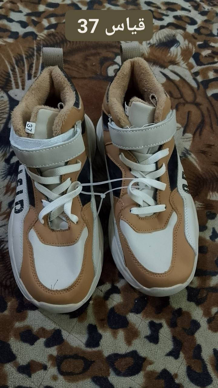 سعر الواحد 5
العنوان العبيدي الشهداء الثانيه


**إذا كنت صاحب هذا الإعلان وتريد حذفه لأي سبب، رجاءا أرسل رسالة إلى الدعم الفني**