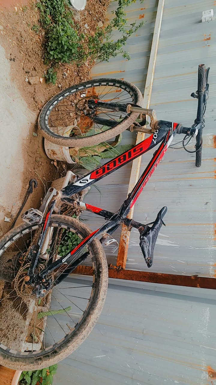 سلام عليكم 3بايسكلات للبيع كلمن وسعره البناتي40 
والدبابه 40وثاني 40مكاني بوب الشام ***********رقمي فقط وات ساب
