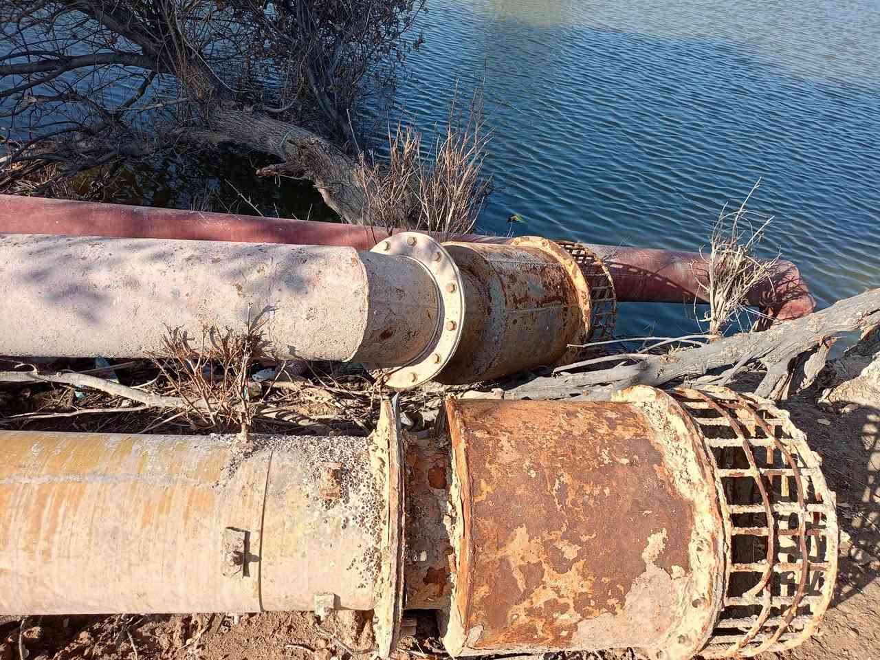 فيكوات عدد ثنين للبيع

ميسان العماره لستفسار ***********
