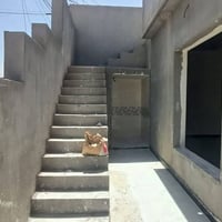 حي العسكري • ١٠٠م • غرفتين