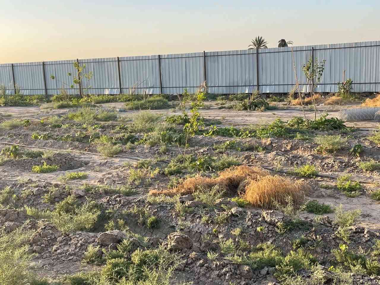 السلام عليكم
قطع اراضي طابو زراعي سند ٢٥ الموقع الشافعية قرب السيد مجيد تتوفر كافه الخدمات ماء كهرباء تبليط وبمساحات مختلفه والاسعار تنافسيه جدااا للتواصل الاتصال *********** او مراسله واتس اب وكما موضح في الصور.
