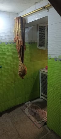 ميسان قطاع ٢٤ • ١٢٠م • ٤غرف