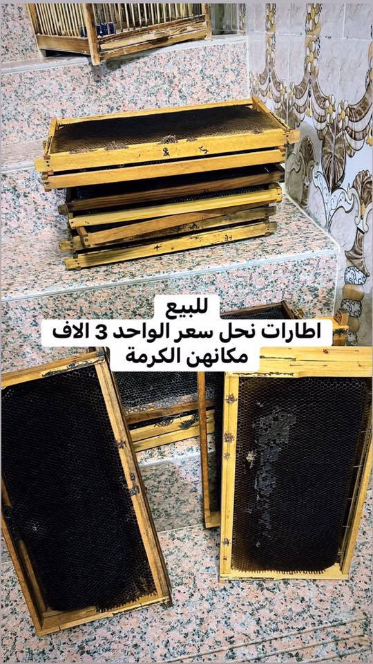 للبيع  
الاغراض مكتوب اسعارهن والعنوان داخل الصور
الحاجة الي تريدها دزلنا صورتها خاص ننطيك رقمها


**إذا كنت صاحب هذا الإعلان وتريد حذفه لأي سبب، رجاءا أرسل رسالة إلى الدعم الفني**