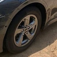 اريد مراوس بويل 18 او 19  07824558900