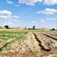 قرية البعيجي • ٥ دونم • كهرباء ومياه