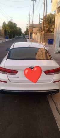 اوبتيما امريكي • ٢٠١٩ • ما بيه صبغ